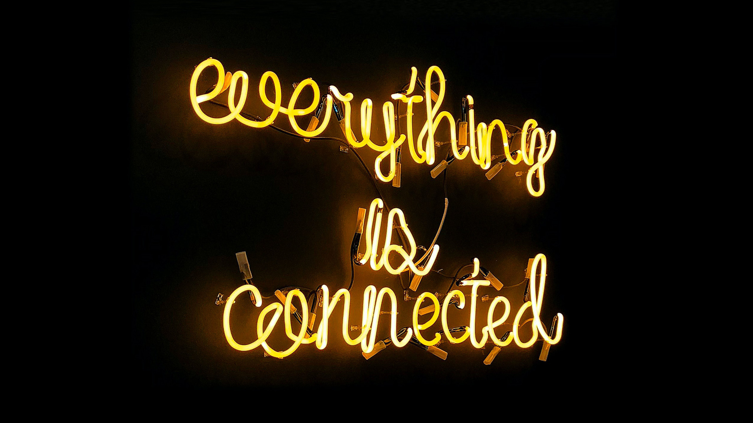 Neon lights that read "everything is connected"